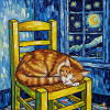 Kat van Gogh Starry Sky