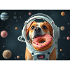 Space Dog with Donut Helmet