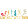 Boxing Evolution Progression Design
