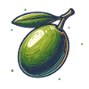 Illustration of Natural Green Olive