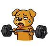 Exhausted Dog Lifting Weights
