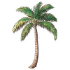 Palm tree