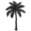 Palm tree