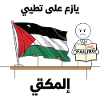 Palestine flag with frustration symbol
