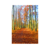 Herbstlicher Waldweg Wanderdesign