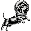 Mäyräkoira avaruudessa - Cool Astonomy Logo