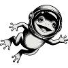 Grenouille dans l'espace - Logo Cool Astonomy