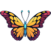Farbprächtiger Schmetterling