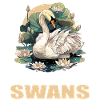 Swans Swan