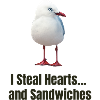 Whimsical Seagull with Heartwarming Message