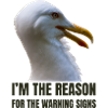 Whimsical Seagull with Bold Text