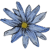Aquarell-Artistik Gänseblümchen Design