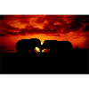 Silhouetted Elephants at Sunset