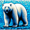 ours blanc