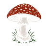 Fly agaric - mushrooms - saying