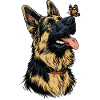 German Shepherd and butterfly