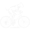 Boxer Dog Driving Bicycle