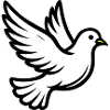 Dove of Peace Dove