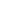 Bird Pigeon