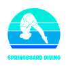 Diving diving board