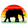 Elephant Africa Safari Wilderness Serengeti