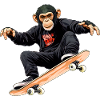 Monkey Skateboard