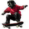 Hunde Skateboard
