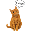 Red cat with tilted head asks: "Cuddle?"