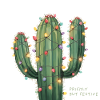 Christmas Cactus – Prickly but Festive
