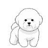 Pudel Mut