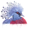 Pigeon couronné