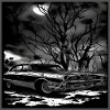 Oldtimer Oldtimer unter verwunschenem Baum