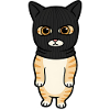 Hooded Kitten