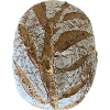 Rustic Sourdough Bread Illustration