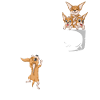 Chihuahua Hundetasche