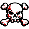 skull skeleton bones symbol