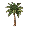 Palm tree