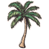 Palm tree