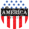 American Patriotic Shield