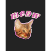 Funny Cat Print
