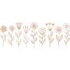 Wildflowers Flowers