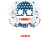 American flag skull with history