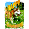 Happy dog in a flower field