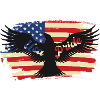 American Pride Eagle on Flag