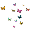 Schöner Mädchenname mit Schmetterlingen KATHRIN