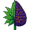 The Half Bud