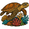 sea turtle