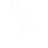 Schlichte Giraffe Silhouette Druck