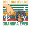 Papi teckel