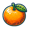 Natural Orange Illustration